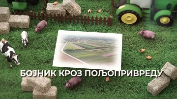 Bojnik kroz poljoprivredu Spica.mp4_000032760